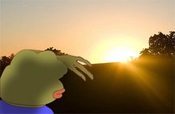 Sad Frog表情太阳